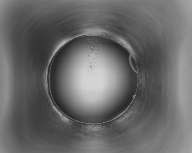 X0000111671103200907171608