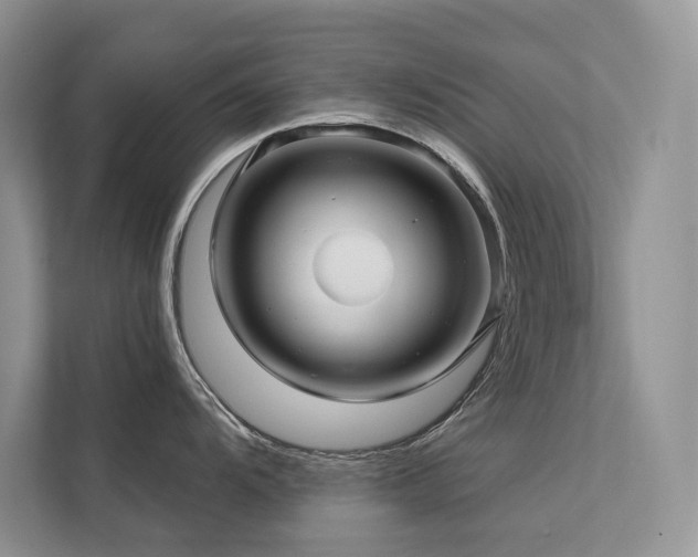 X0000111671104200907171608