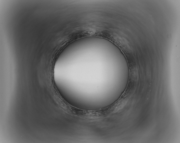 X0000111671105200907171608