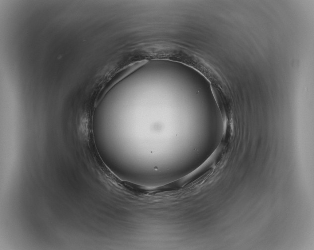 X0000111671108200907171608