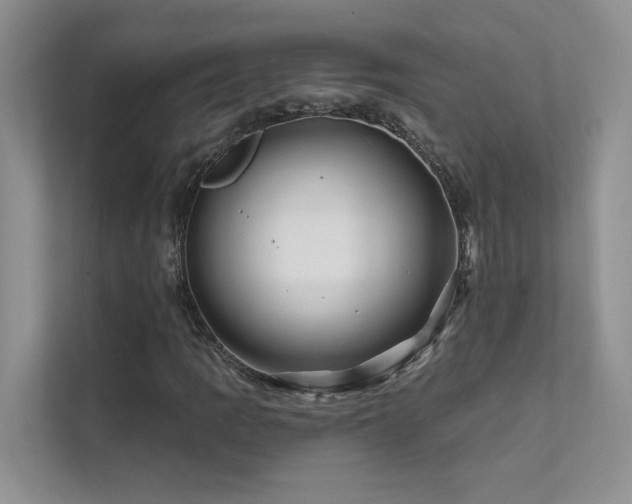 X0000111671109200907171608