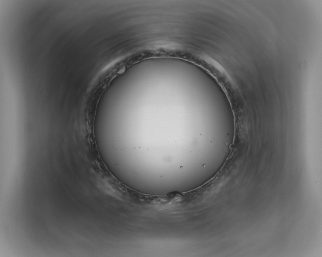 X0000111671112200907171608