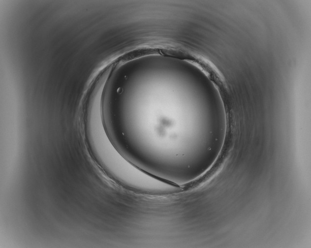 X0000111671114200907171608