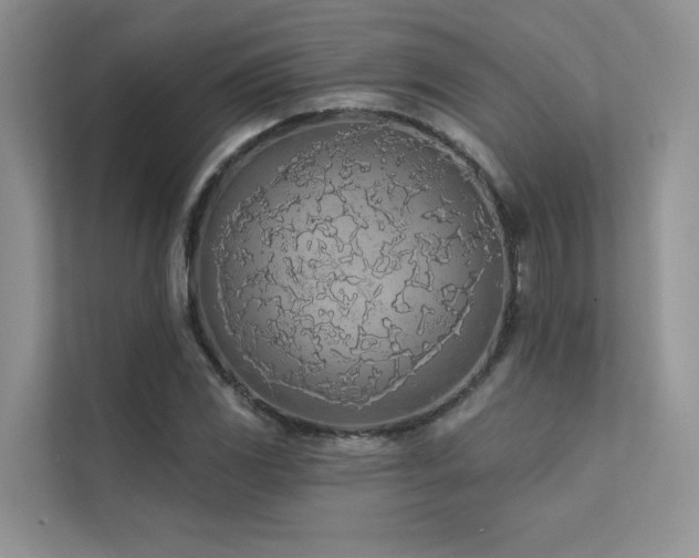 X0000111671117200907171608