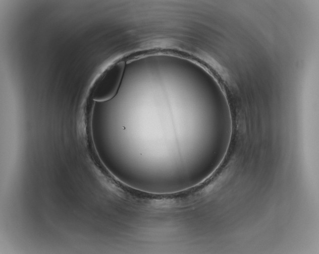 X0000111671118200907171608