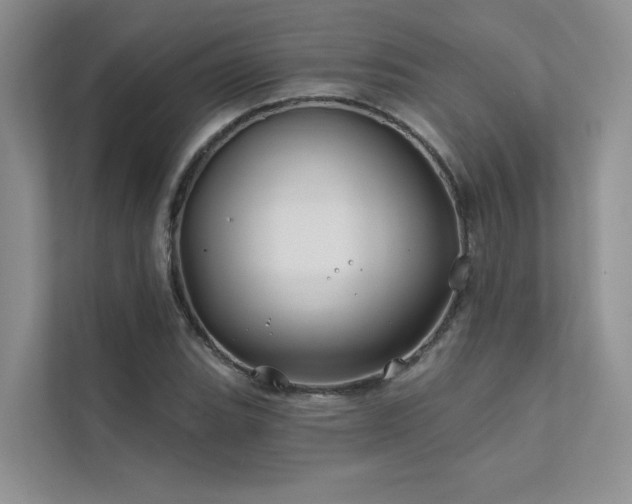 X0000111671119200907171608