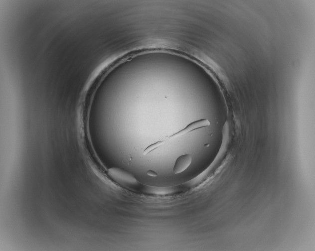 X0000111671120200907171608