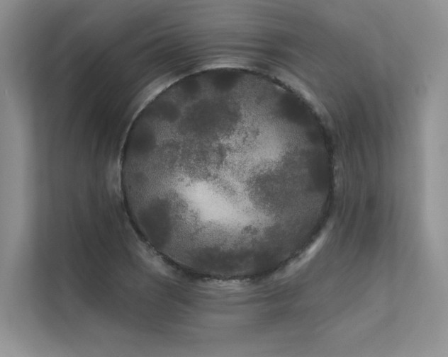 X0000111671121200907171608