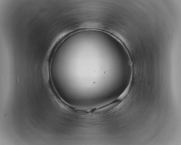 X0000111671123200907171608