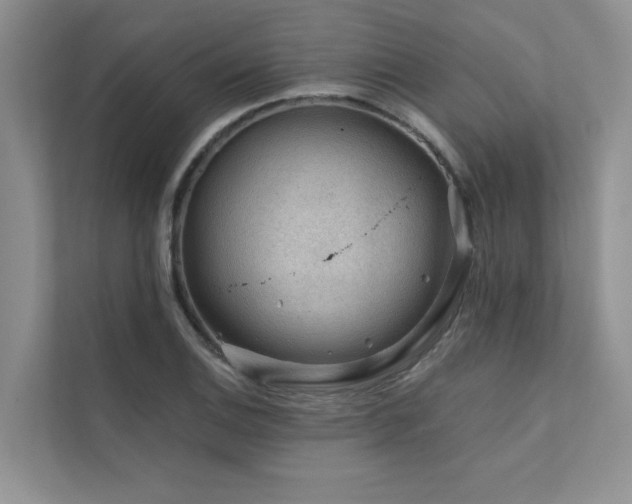 X0000111671124200907171608