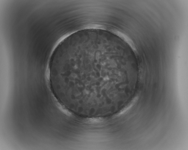 X0000111671125200907171608