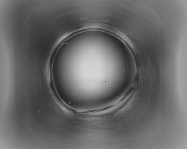 X0000111671127200907171608