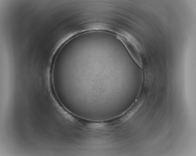 X0000111671134200907171608