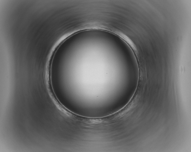 X0000111671144200907171608