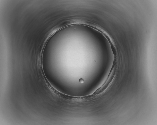 X0000111671145200907171608