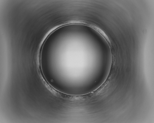 X0000111671148200907171608