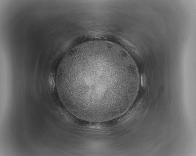 X0000111671155200907171608