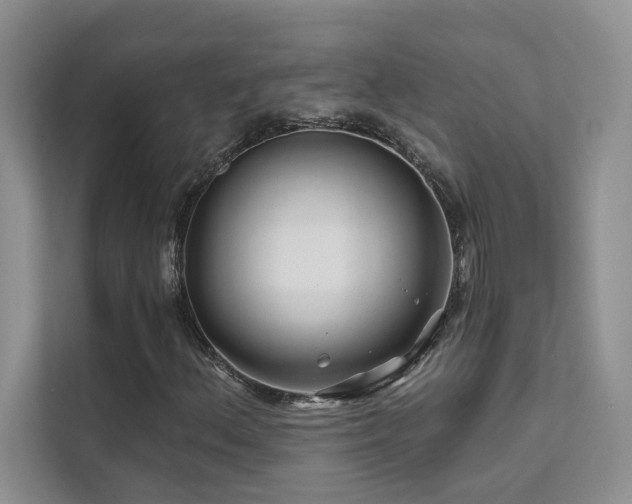 X0000111671156200907171608