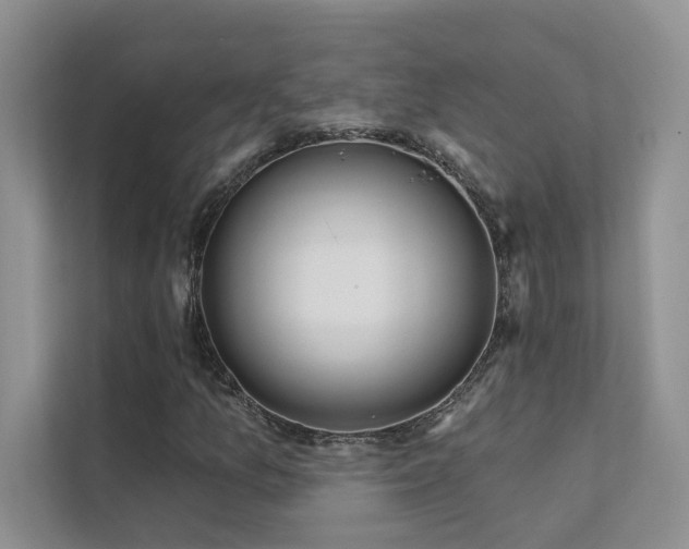 X0000111671157200907171608