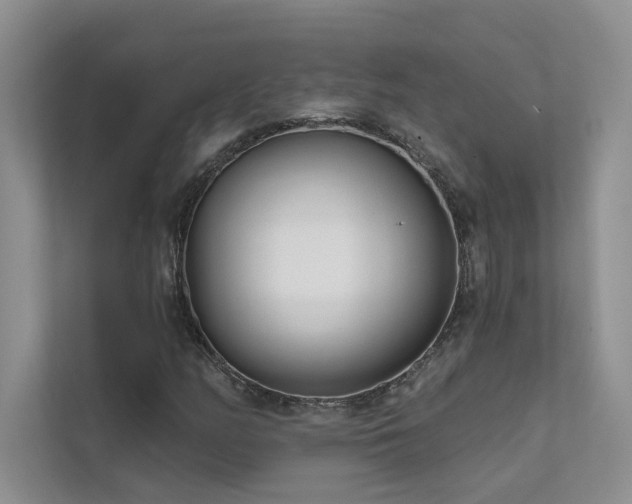 X0000111671158200907171608