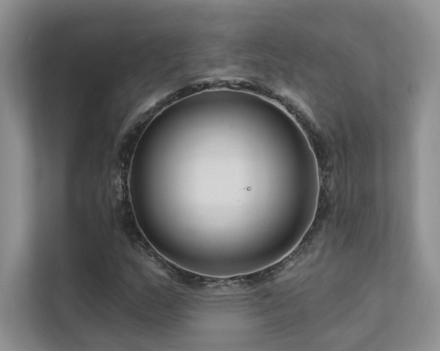 X0000111671159200907171608