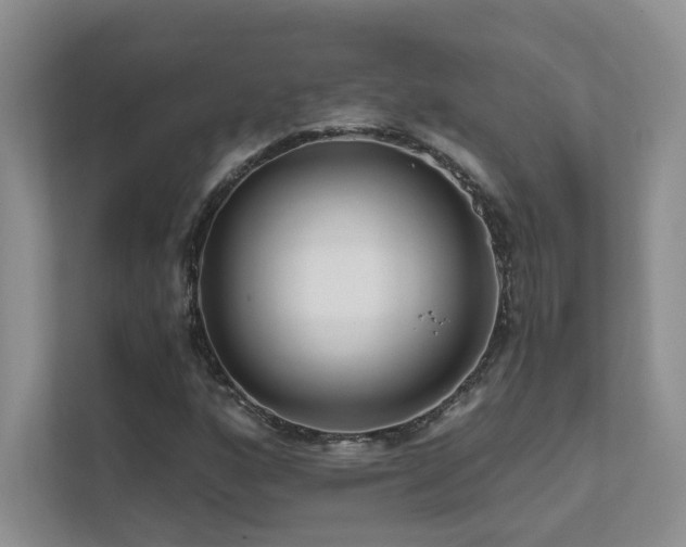 X0000111671160200907171608