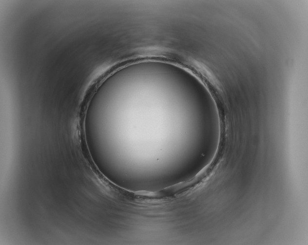 X0000111671164200907171608