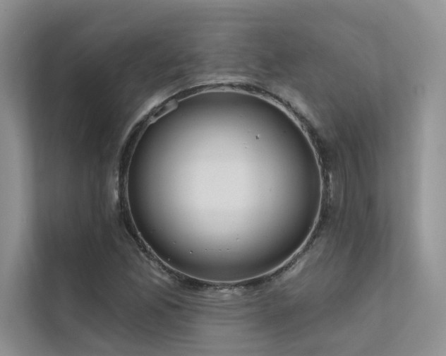 X0000111671165200907171608