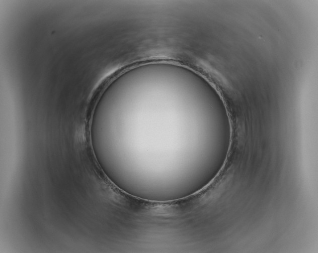 X0000111671166200907171608