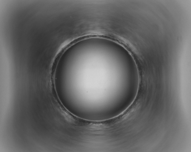 X0000111671168200907171607