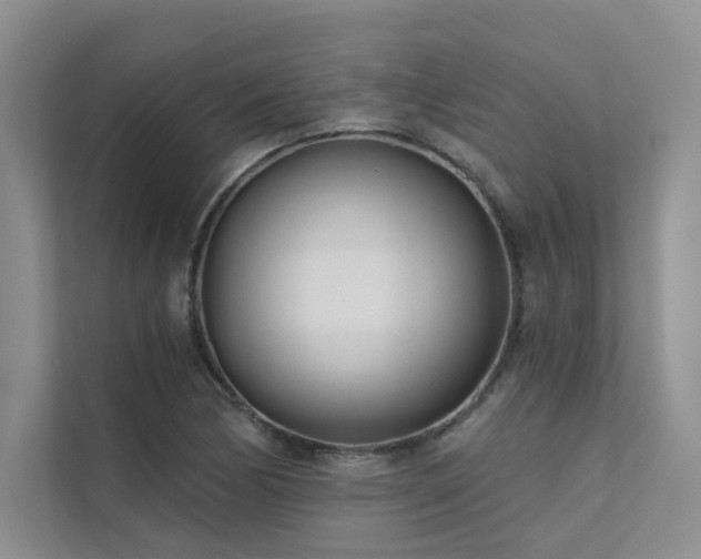 X0000111671170200907171607