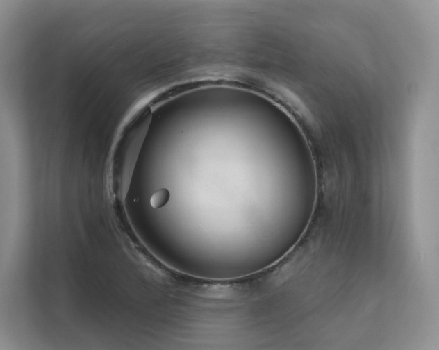 X0000111671172200907171607