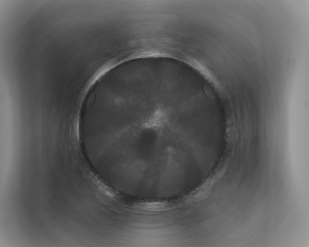 X0000111671173200907171607