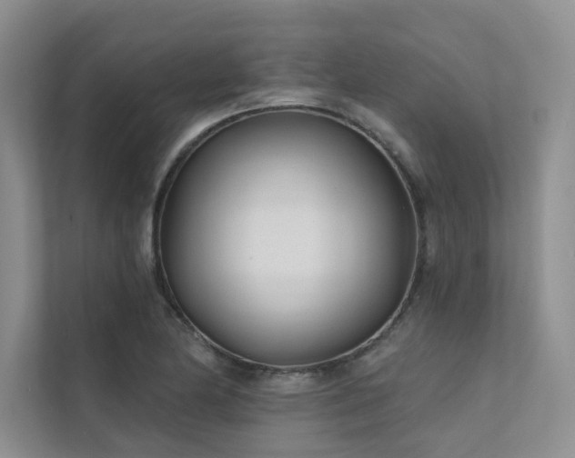 X0000111671174200907171607