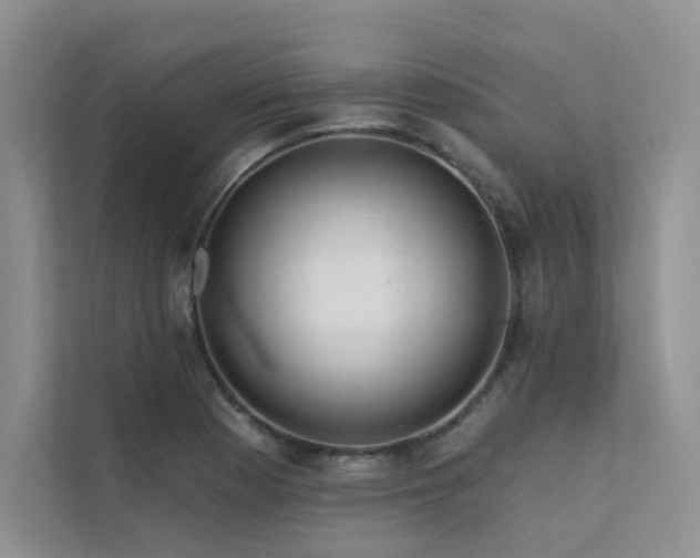 X0000111671177200907171607