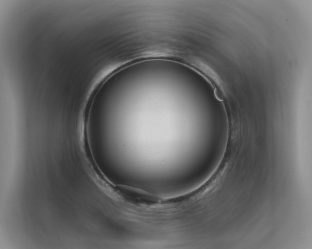 X0000111671179200907171607