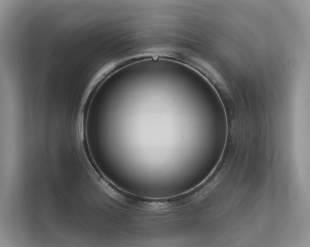 X0000111671180200907171607