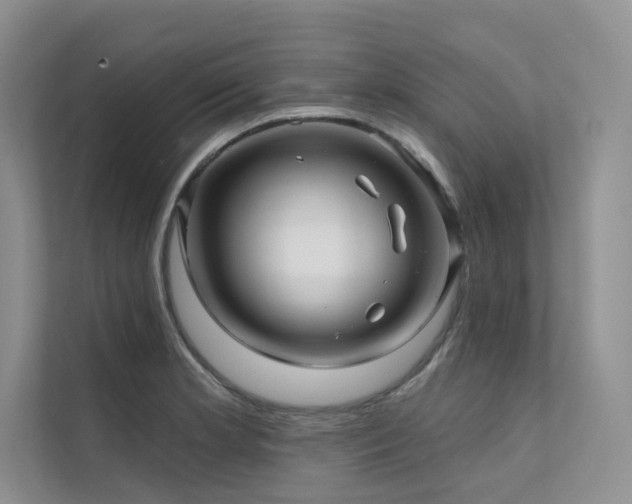 X0000111671181200907171607