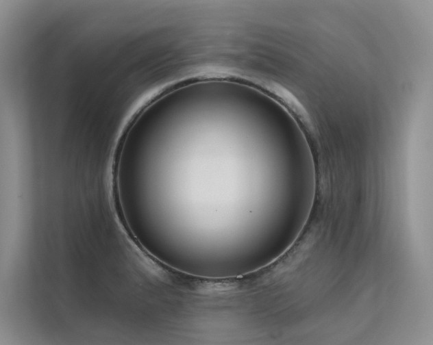 X0000111671183200907171607