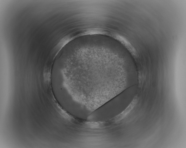 X0000111671185200907171607