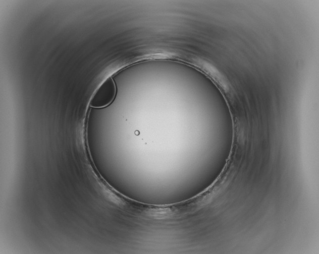 X0000111671186200907171607