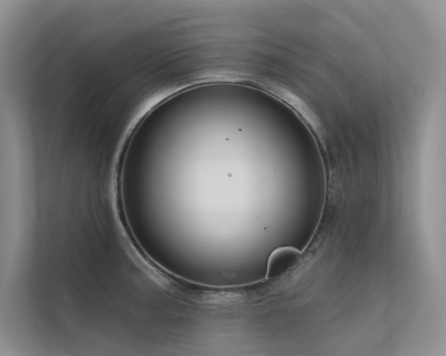 X0000111671187200907171607