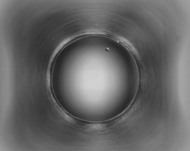 X0000111671188200907171607