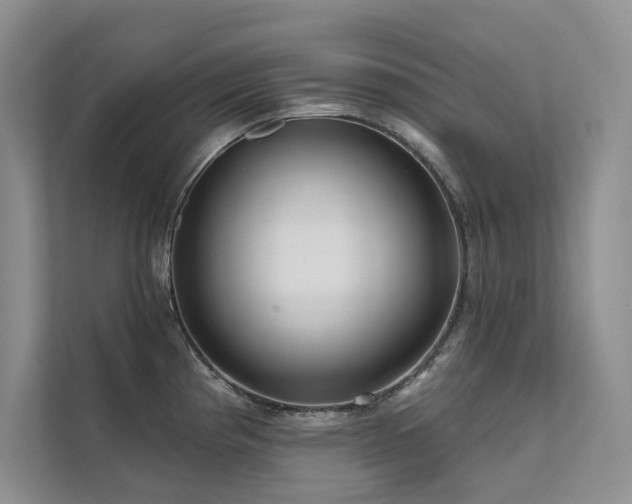 X0000111671193200907171607