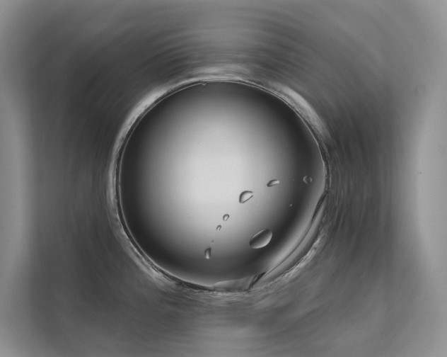 X0000111671196200907171607