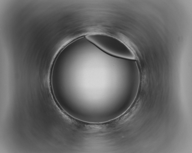 X0000111671197200907171607