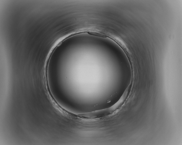 X0000111671200200907171607