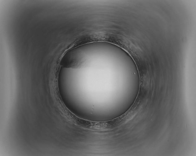 X0000111671201200907171606