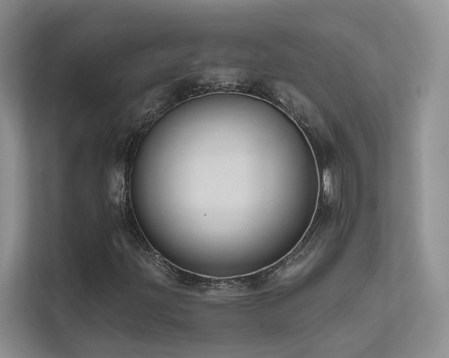 X0000111671203200907171606