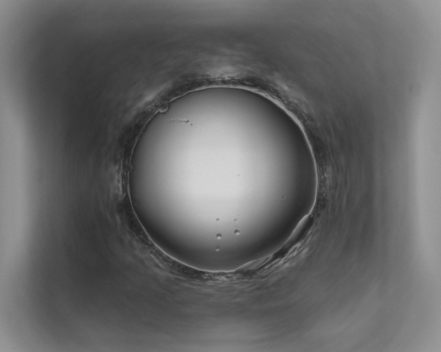 X0000111671205200907171607